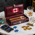 Provably Fair Crypto Casinos with NFT Games and High Limit Gaming in Canada 70-A-professional-commercial-product-shot-showcasing-.jpg